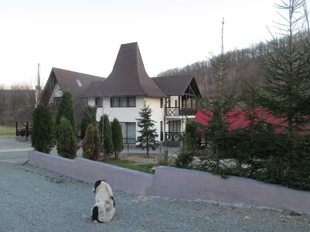 Pensiunea Steaua Nordului Vanatori  Exterior photo