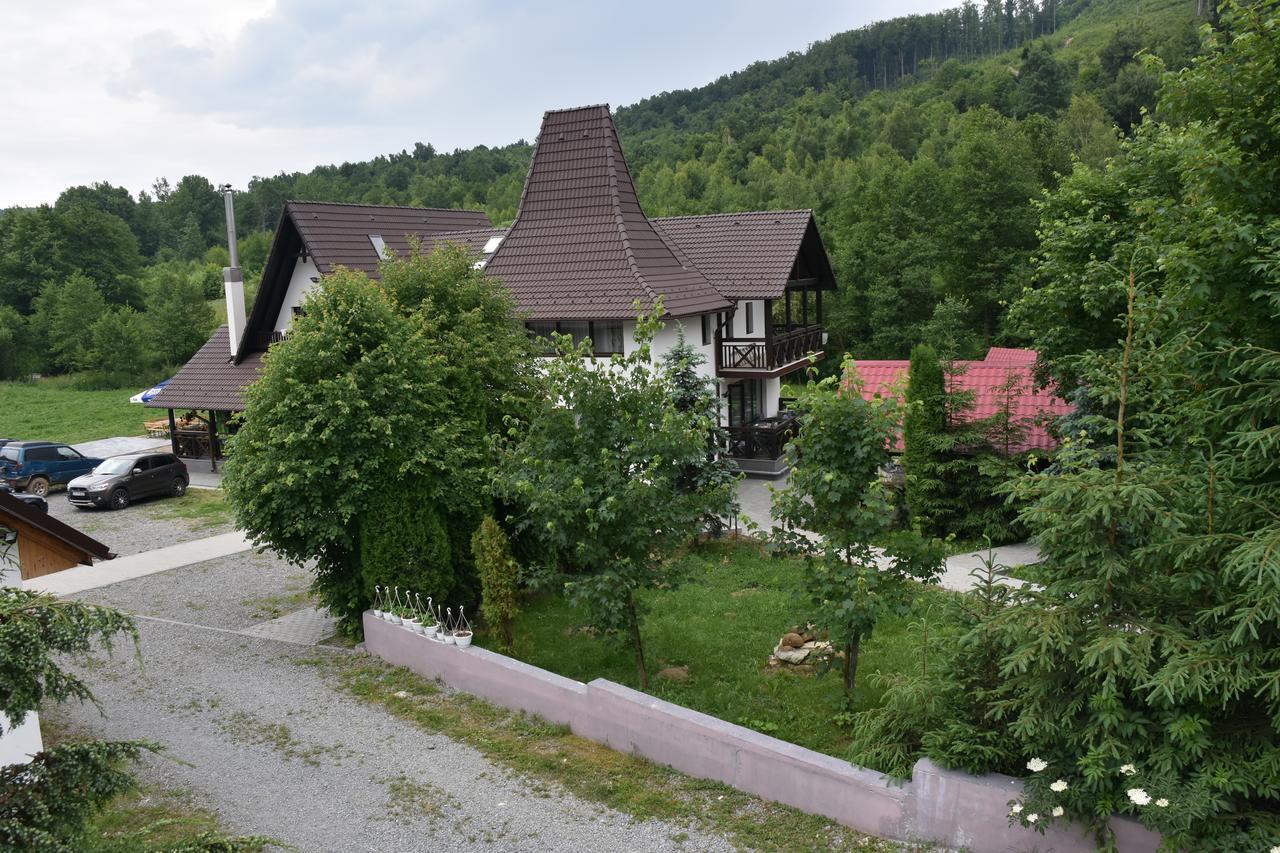 Pensiunea Steaua Nordului Vanatori  Exterior photo
