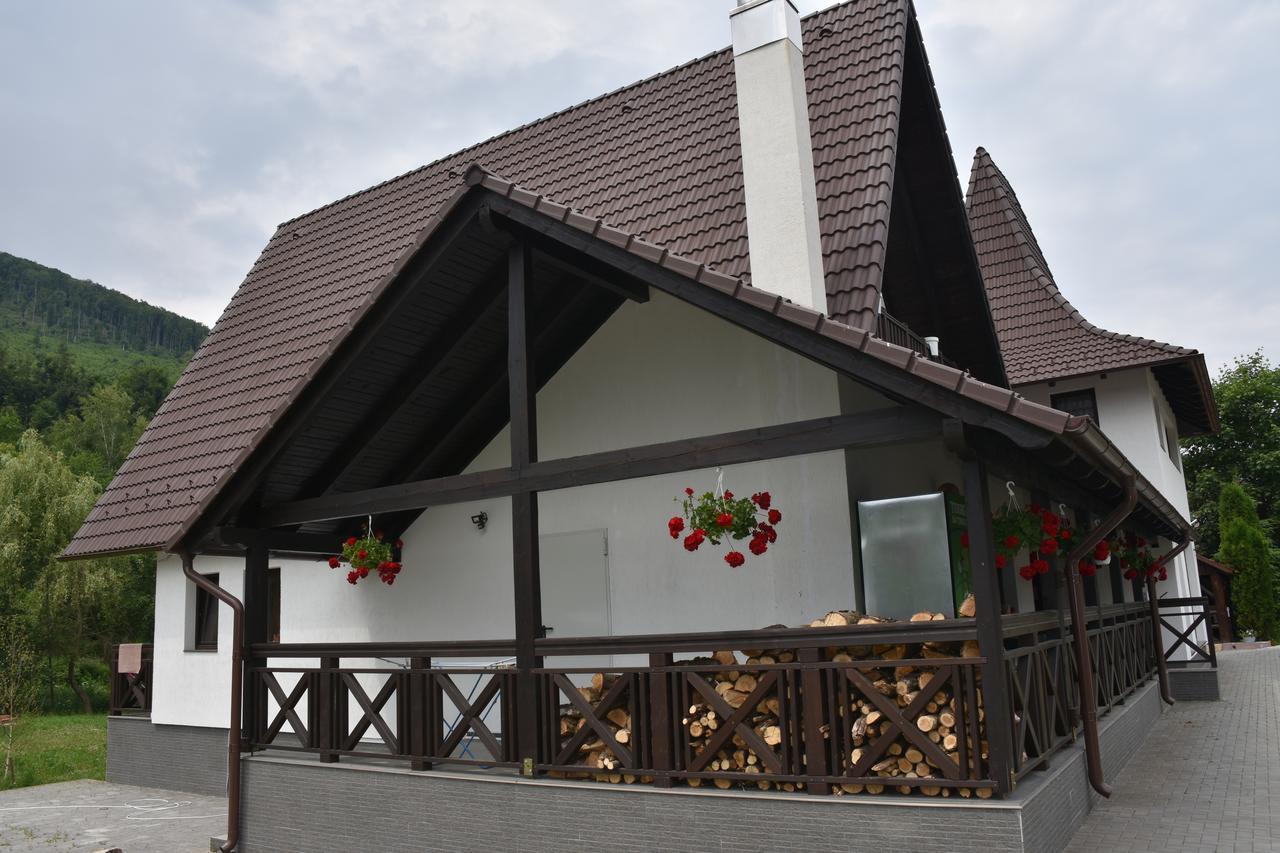 Pensiunea Steaua Nordului Vanatori  Exterior photo